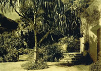 ohg0228_6 Gardens include rare plants and century-old trees.