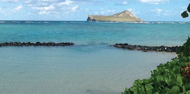 View of Rabbit Island from the Anderson estate. The islet (traditional name "Manana") is a state-protected bird sanctuary.
